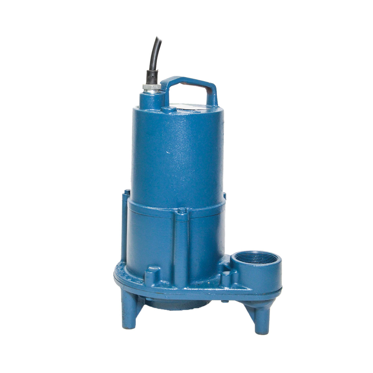 EHV Effluent Pump Crane Pumps Systems