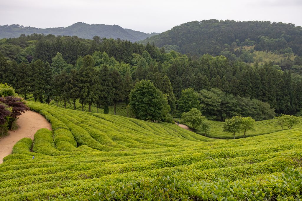 Challenging terrain for pressure sewer systems