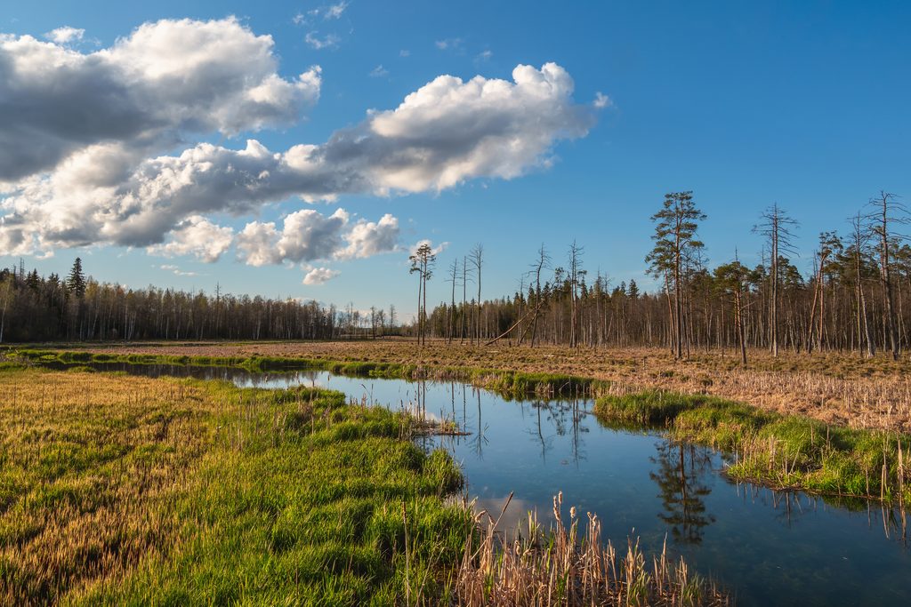 Challenging terrain for pressure sewer systems